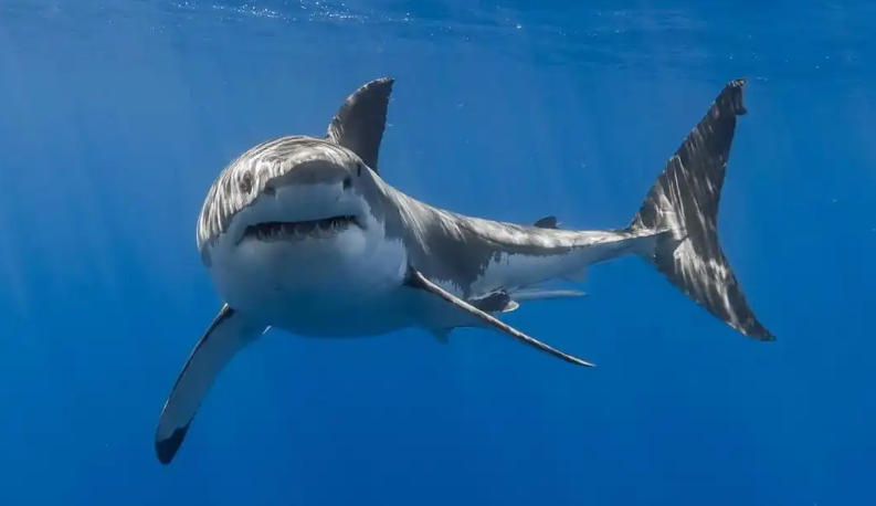 四叶城化妆品专卖店轮播图3