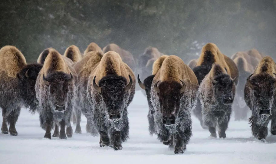 四叶城化妆品专卖店轮播图1